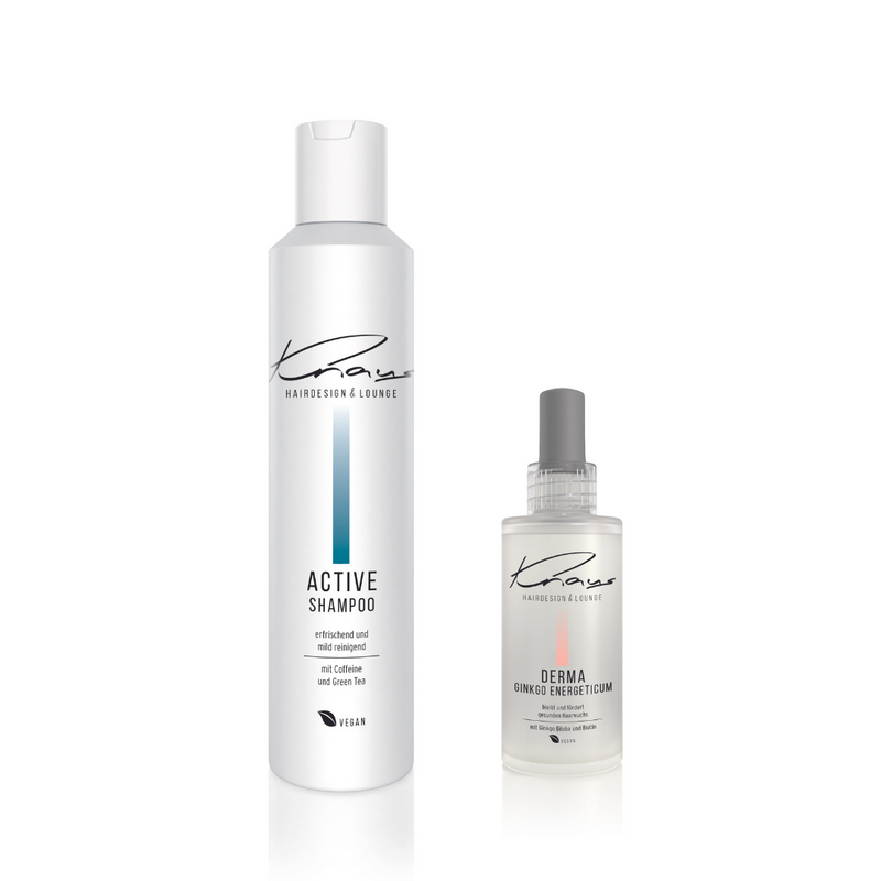 Knaus Active Shampoo Derma Ginkgo Energeticum Irritationen der Kopfhaut  Set - Knaus Hairdesign